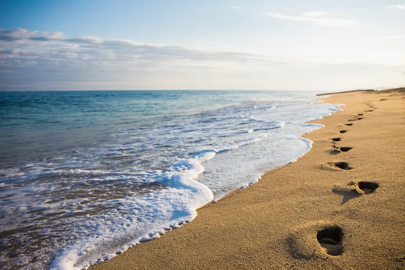 Footprints along a sunlit beach at the water's edge