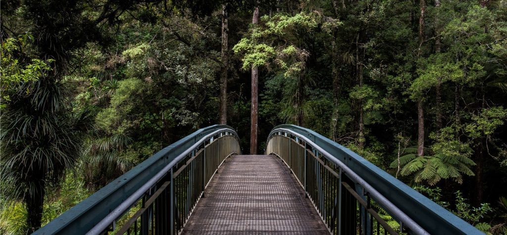 green-banner-1024x475