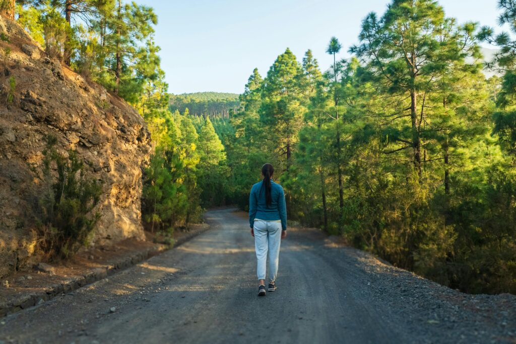 A woman walks on a forest road surrounded by pine trees in summer sunlight, symbolizing adventure.